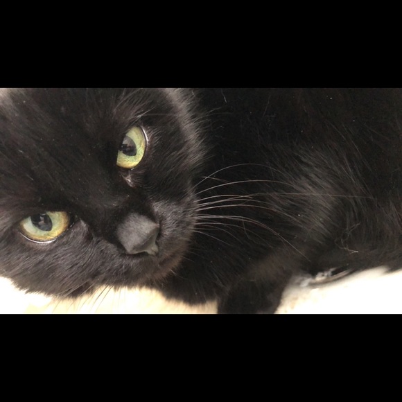 Meet your Posher, Leanne - Picture 9 of 13